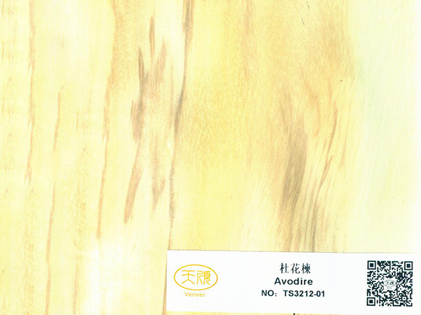 直紋木皮